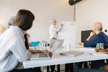 Senior businesswoman using flipchart for presentation in conference room.  