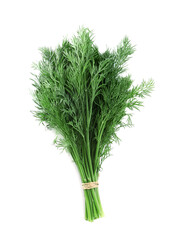 Bunch of fresh dill on white background, top view