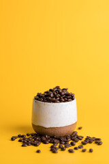 chocolate cake with coffee beans