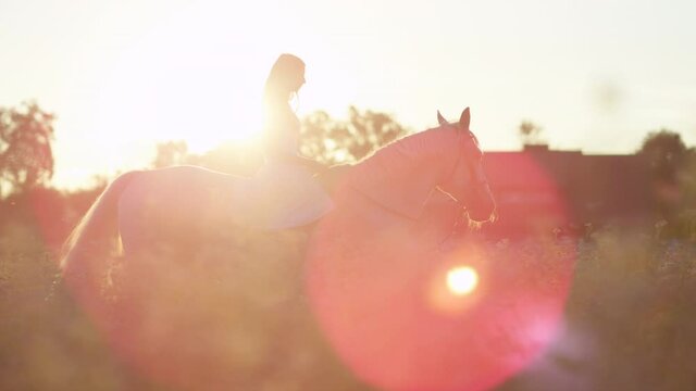 SLOW MOTION, LENS FLARE: Young Caucasian woman horseback riding in the golden lit countryside. Carefree girl wearing a white sundress rides her beautiful mare bareback on a sunny summer evening.