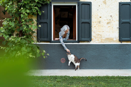 Woman playing with the cat outdoor 