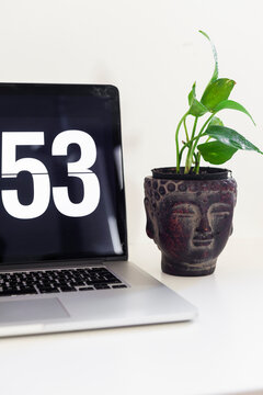 A pothos in a buddha vase near a laptop