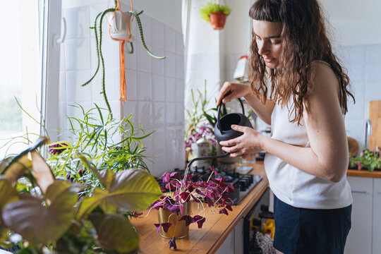 Woman taking care of potted plants in kitchen