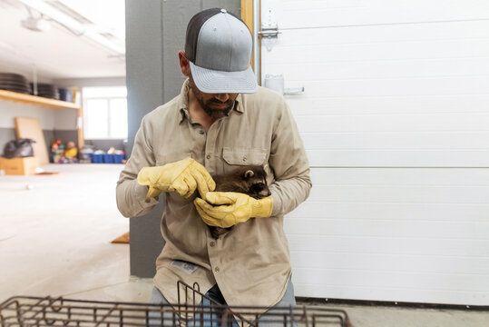 Caregiver holding a rescue raccoon. 