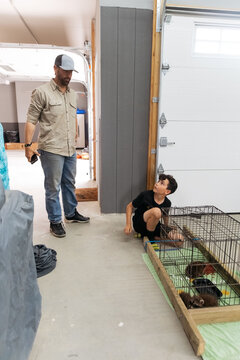 Father and son taking care of raccoon. 