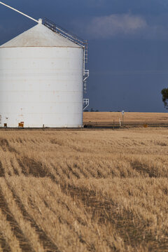 Wheat silo and cut crop land