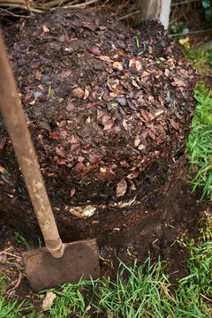 Organic compost
