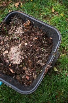 Organic compost