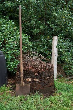 Organic compost