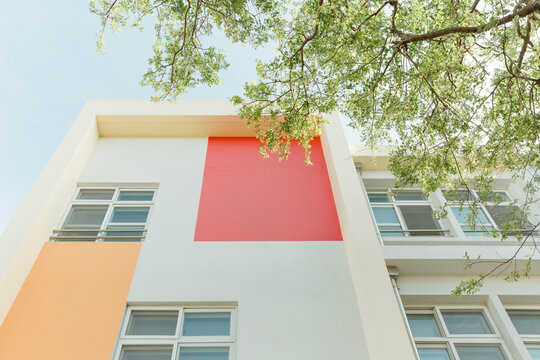 Colorful Building And Tree