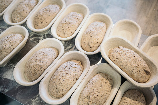 Fresh Bread Dough in Molds