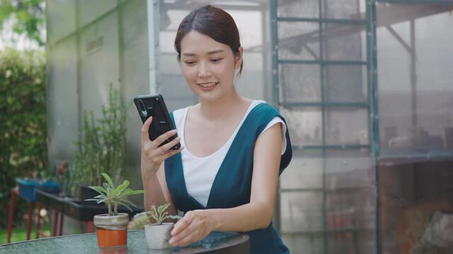 Asian beautiful young woman taking photos of small tree on pot by smartphone for sale in garden near greenhouse, female gardener photography flowers on digital mobile phone, house plant