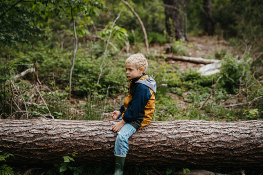 5 year old boy sitting on a big fallen tree in the forest