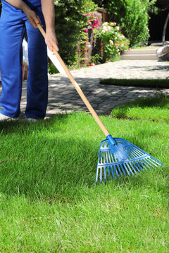 Gardener raking grass sod on backyard, closeup