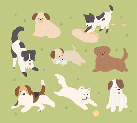 Cute dogs of different breeds are playing on the lawn. flat design style minimal vector illustration.