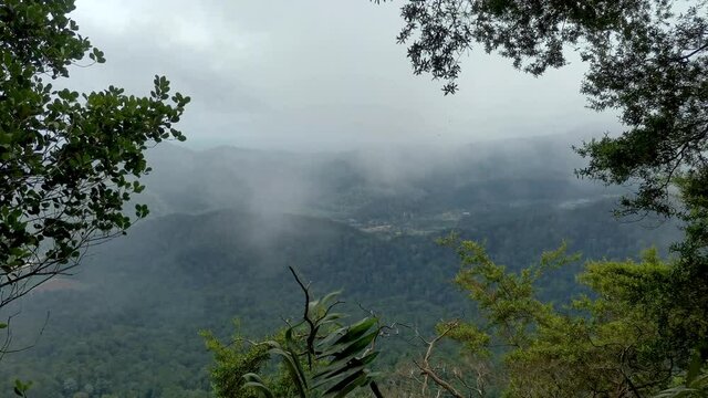 Fast moving clouds rising along misty foggy tropical rainforest mountains, view from mountain peak, Gunung Panti, Malaysia.