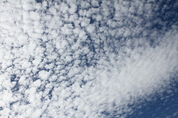 青空とうろこ雲