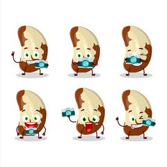 Photographer profession emoticon with brazil nuts cartoon character