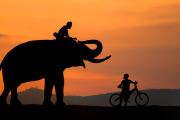 Silhouette, lifestyle of people and elephants, mahouts. The love and bond of people and elephants Thai elephants in Thailand.