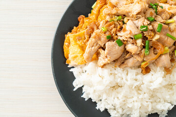 stir-fried pork with garlic and egg topped on rice