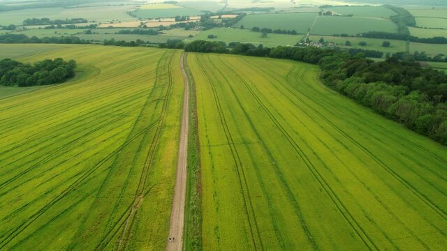 Aerial View Of Green Flowerless Field In The Trundle, West Sussex, England At Spring.