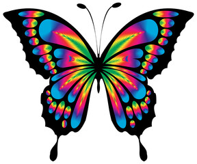 Butterfly Rainbow