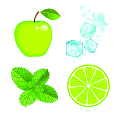  vector set of realistic fruits and peppermint and cubes of ice