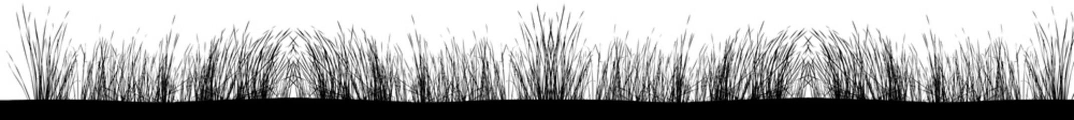 Bordure de silhouettes d’herbes 