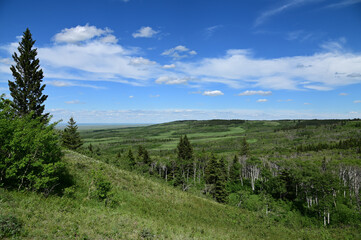  vast meadows forest and skies in cypress hills interprovincial park
