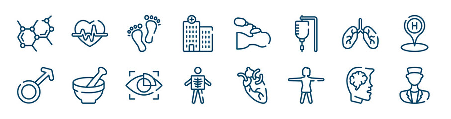 health set icons set such as heart with electrocardiogram, hospital, lungs organ, female, eye scanner medical, head with brain outline vector signs. symbol, logo illustration. linear style icons