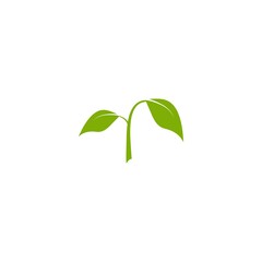 two green leaves. Icon Isolated on white. Logo for eco company, agriculture, nature firm, ecology,