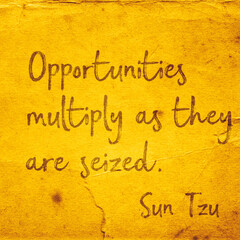 Opportunities multiply SunTzuSQ