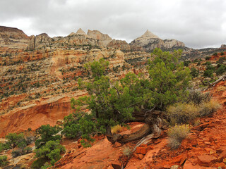   View of  eroded red rock formations  and storm clouds along the    cassidy arch trail in fall,...