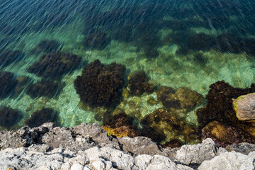 Rocky seashore top view. Corals under clear water. A warm sunny day by the ocean. Resort.
