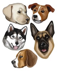 Watercolor hand drawing set of dog’s pet heads: labrador, corgi, german shepherd, husky, beagle. Use for print, postcard, poster, shop, market, veterinary, pets supplies, design, textile, pattern