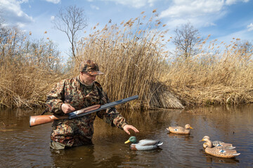 a hunter stands in the middle of the lake and places plastic baits for ducks