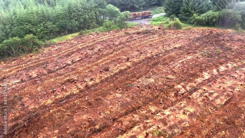 Poster logging and deforestation of cornish forests logging trucks remove cut trees. deforestation and natu