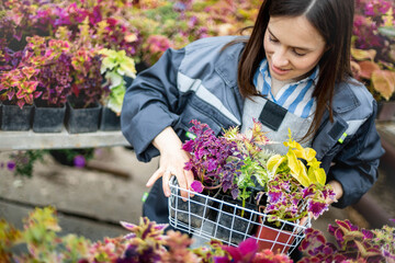 Happy young smiling female working with flowers at greenhouse holding box multicolored plants