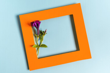 Orange paper frame decorated with a red flower on a colored background. A flat bright orange frame and a decor of flowers.