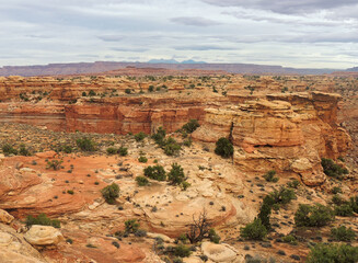 dramatically eroded  red rock formations in spring canyon along the slickrock foot trail in the needles district of canyonlands national park, near moab, utah 