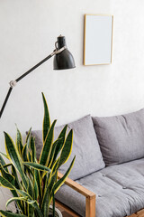 Cozy interior with empty poster frame and Sansevieria plant pot.