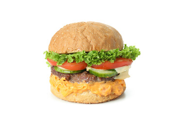 Delicious tasty burger isolated on white background