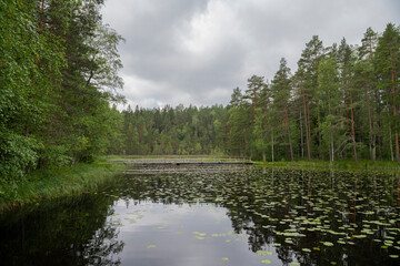 View of The Haukkalampi pond in summer, Nuuksio National Park, Espoo, Finland
