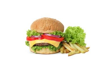 Concept of tasty food with burger isolated on white background