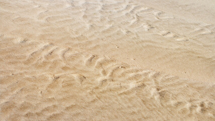 Fototapeta na wymiar Texture of soft wet sand on tropical beach summer.