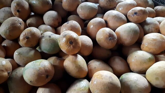 Fresh mango fruit in the market, desi mango, fresh mango in the market with good arrange sort. mango is a popular tropical fruit, also for eat with sticky rice, Fruits, langda aam mango, India,
