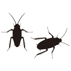 cockroach set, icon vector illustration sign