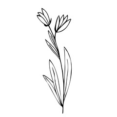 Botanical linear leaf set. Abstract minimalist leaves collection, creative herbal art. Hand drawn wedding herb, plant and monogram with elegant leaves for invitation save the date. Vector illustration