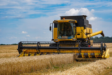 Yellow combine agricultural farming. Summer harvesting by big combine.