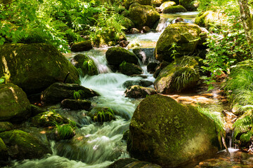 Beautiful stream with moss covered rocks in the Bestança valley near Cinfães, Douro river valley, Viseu district, Portugal - obrazy, fototapety, plakaty